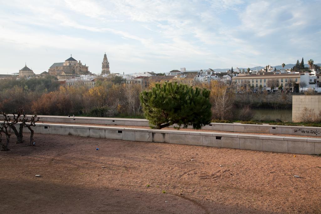 Apartmán Amparo Cinco Córdoba Pokoj fotografie